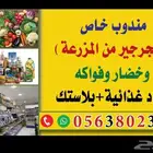 توزيع خضار في جدة وخارج جدة