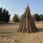 خشب بزرومي عوارض