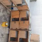 مطلوب محاكر محكر