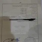 ارض سكنية للبيع القنفذة حي الشاطي 3