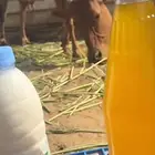 سمن بقري مع الخلاصه والحقنه إذا منسبك نرجع لك فلوس