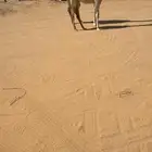 عشرا كفوو