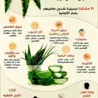 صبار الوفيرا شتلات