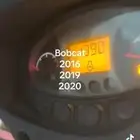 بوبكات
