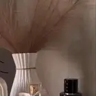 عطورت اصليه سعرنا جمله جمله