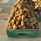 تمر سكري