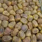 تمر سكري مفتل رطب شريط مربع افطار كميات