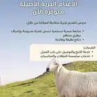 ذبايح اغنام حري