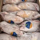 دجاج بياض مجمد