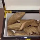 مروكي طبيعي اصقون فاخر