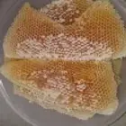عسل سمرة عسل طلح عسل سدر اصلي مضمون على الشرط