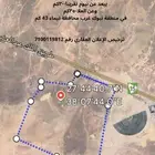 مزرعة للبيع تبوك _ تيماء