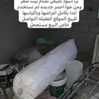 خيمة