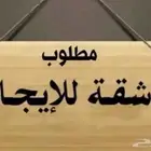 شقة