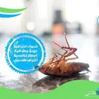 شركة مكافحة حشرات رش مبيدات الصراصير بالمدينة المنورة