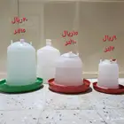 سقايات للطيور
