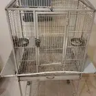 قفص ببغاء