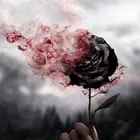 عدت محل بطاطس وسندويشات وعصاير