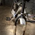 رامبو الاندنوسي الاصلي للبيع