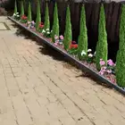 الجنوب