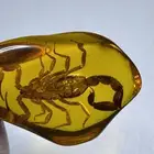 ميداليه كهرمان مضغوط محشر عقرب