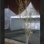 خيام نظام أوروبي قبب