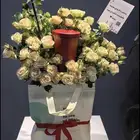 مق هاف مليون الأحمر البارد