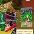 هامستر
