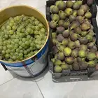 تين للبيع جديد اليوم