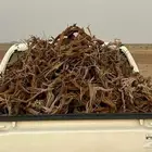 هايلوكس 2025