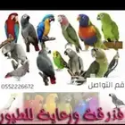 فندقة طيور وترويض وخدمات بيطريه