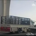 عقلة الصقور