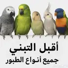 إللي عنده طيور لتبني يتواصل معاي أنا مربى طيور