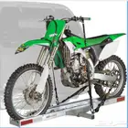 قلص دباب صحراوي