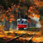 مطلوب قطعه في العرفاء