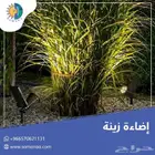 اضاءات غرس ارضية بالطاقة الشمسية