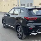 mg.