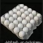 بيض بلدي