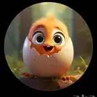 بيض بلدي مخصب