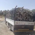 سعف نخل للبيع العرائش نظيف ورطب