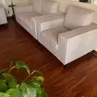 انترية للبيع