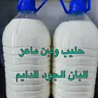 حليب و لبن ماعز و غنم طازج و رعي بري و زبدة وسمن بري