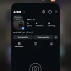يوزر انستا رباعي معنى ذيب