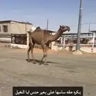 بكره حقه