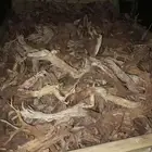 حطب أرطى وغضى