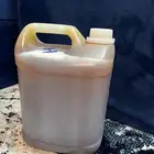 مزاد على 5 كيلو سدر بلدي
