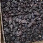 تمر صفاوي فاخر نوعين