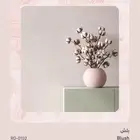 دهانات ألوان هاديه