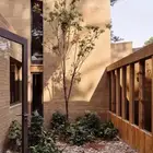 نخيل واشنطونيا للبيع كميات كبيره للمشاريع