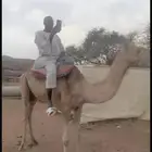 رحول